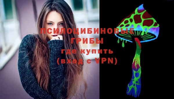 apvp Богданович