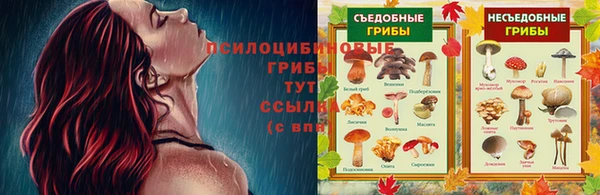 прущие крисы Богородск