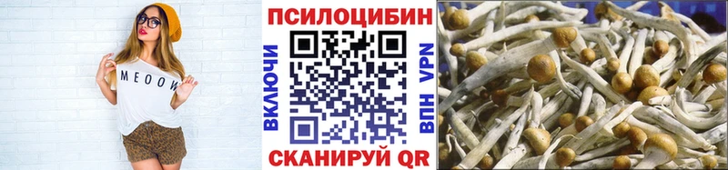 Купить закладки Алексеевка Галлюциногенные грибы MAGIC MUSHROOMS